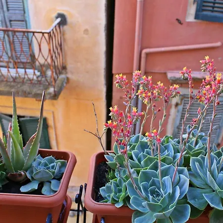 Corfu Old Town 100m2 * Corfu (city)